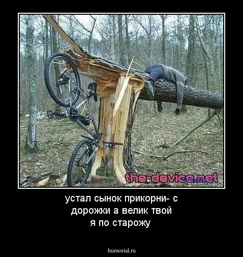 устал сынок прикорни- с дорожки  а велик твой  я по старожу 