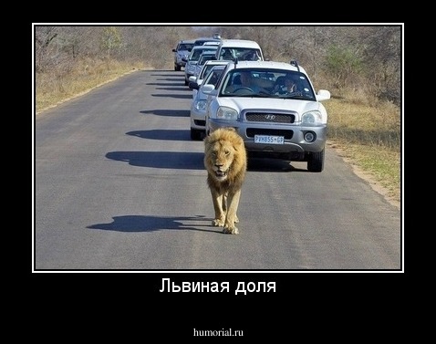 Львиная доля