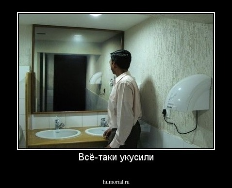 Всё-таки укусили