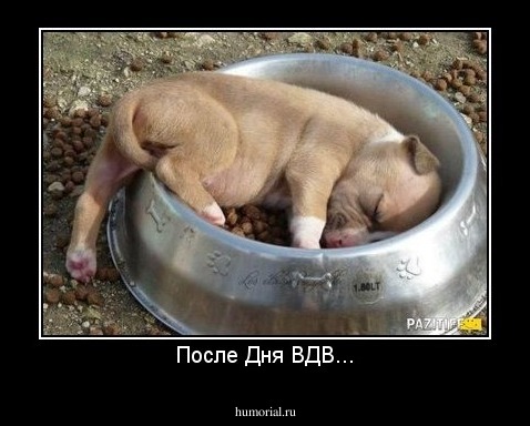 После Дня ВДВ...
