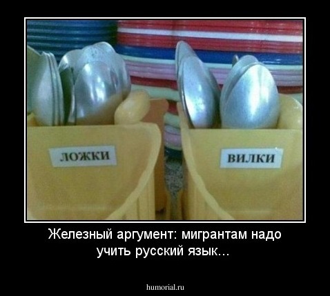 Железный аргумент: мигрантам надо учить русский язык...