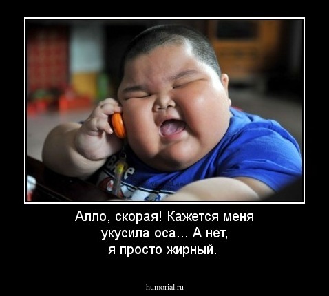 Алло, скорая! Кажется меня укусила оса... А нет, я просто жирный.