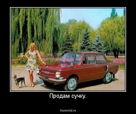Продам сучку.