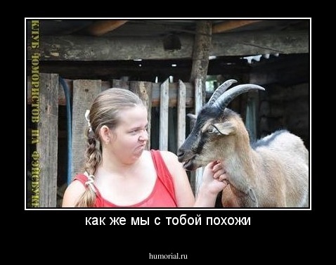 как же мы с тобой похожи