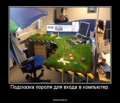 Подсказка пороля для входа в компьютер.