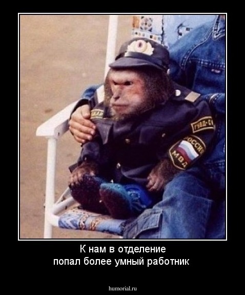 К нам в отделение попал более умный работник