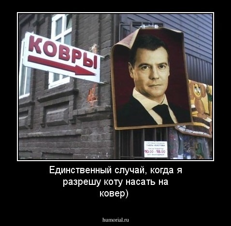 Единственный случай, когда я разрешу коту насать на ковер)