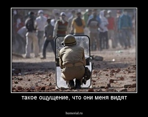 такое ощущение, что они меня видят