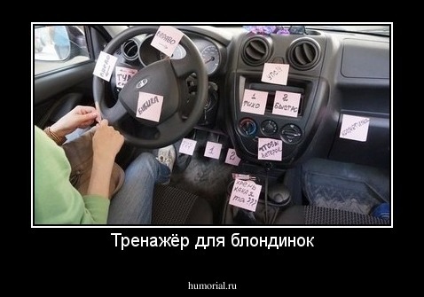Тренажёр для блондинок