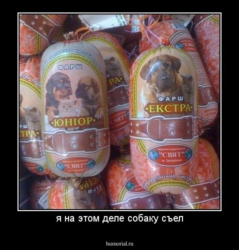 я на этом деле собаку съел