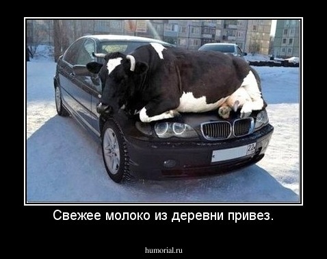 Свежее молоко из деревни привез.