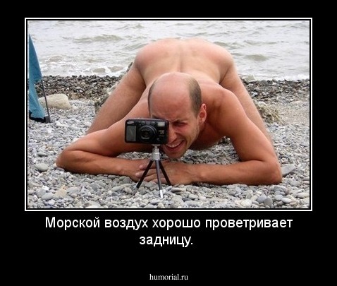 Морской воздух хорошо проветривает задницу.