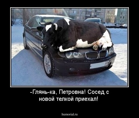 -Глянь-ка, Петровна! Сосед с новой телкой приехал!