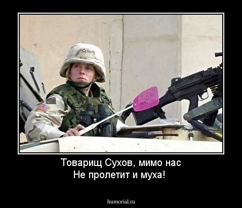 Товарищ Сухов, мимо нас Не пролетит и муха!
