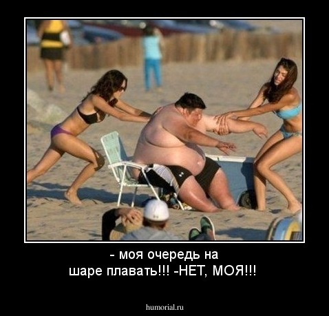 - моя очередь на шаре плавать!!! -НЕТ, МОЯ!!!