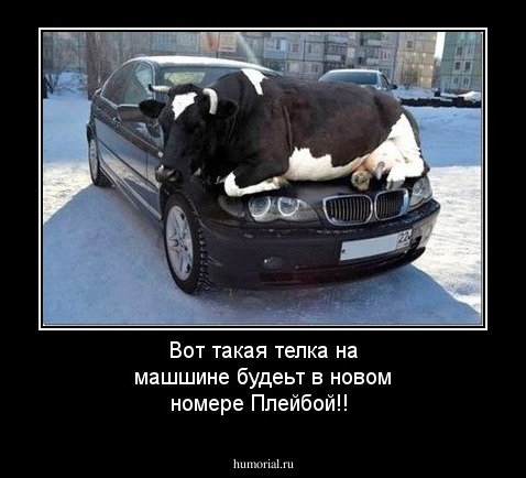 Вот такая телка на машшине будеьт в новом номере Плейбой!!