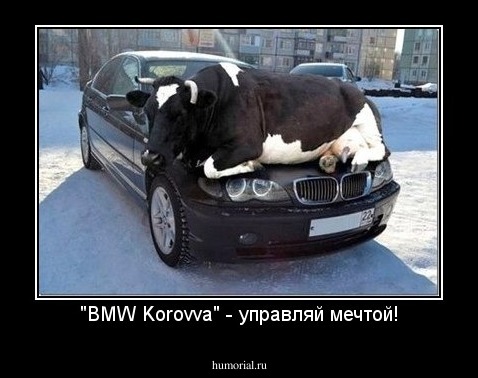 "BMW Korovva" - управляй мечтой!