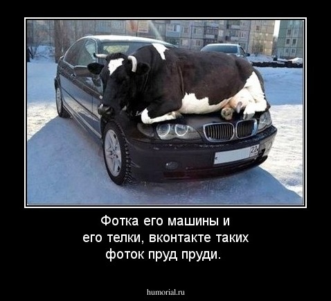 Фотка его машины и его телки, вконтакте таких фоток пруд пруди.