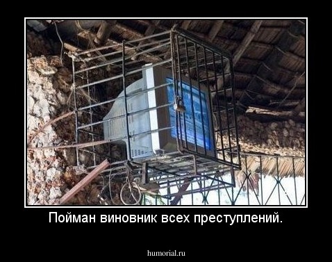 Пойман виновник всех преступлений.
