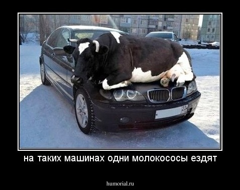 на таких машинах одни молокососы ездят