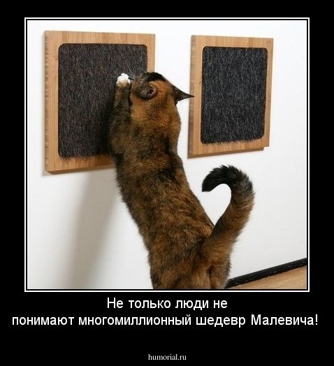 Не только люди не понимают многомиллионный шедевр Малевича!