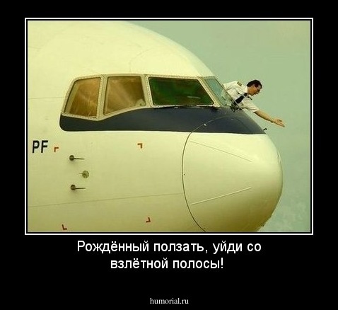 Рождённый ползать, уйди со взлётной полосы!