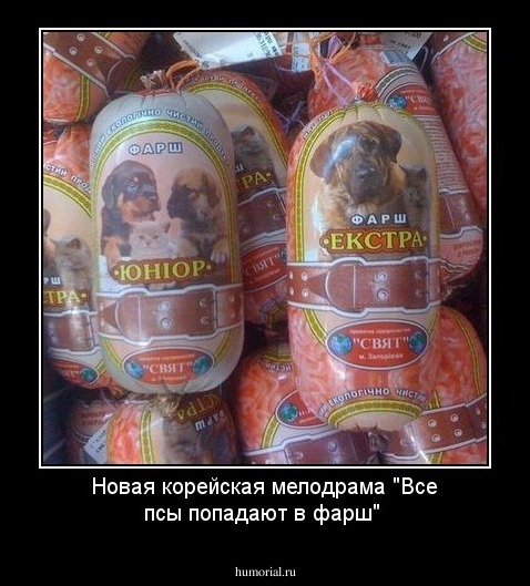 Новая корейская мелодрама "Все псы попадают в фарш"