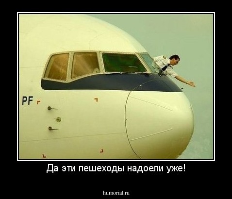 Да эти пешеходы надоели уже!