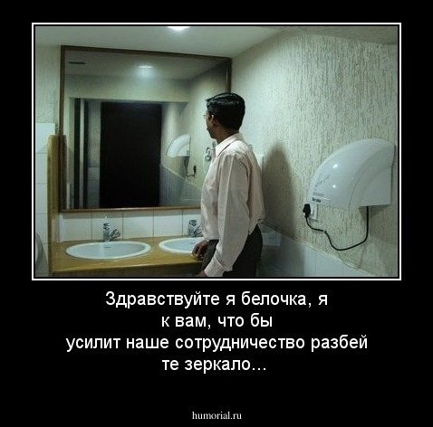 Здравствуйте я белочка, я к вам, что бы усилит наше сотрудничество разбей те зеркало...
