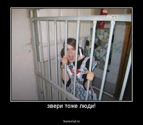 звери тоже люди!