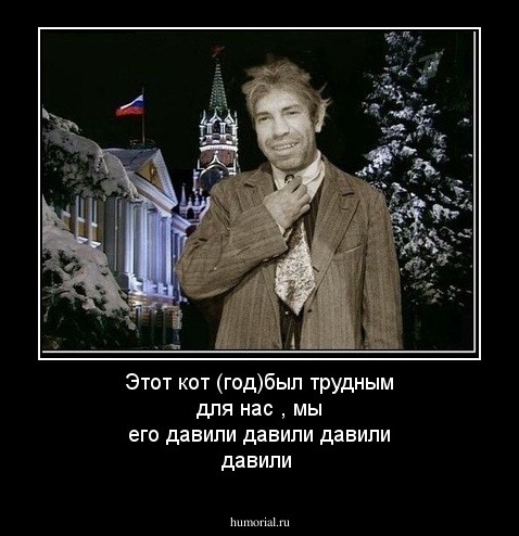 Этот кот (год)был трудным для нас , мы его давили давили давили  давили