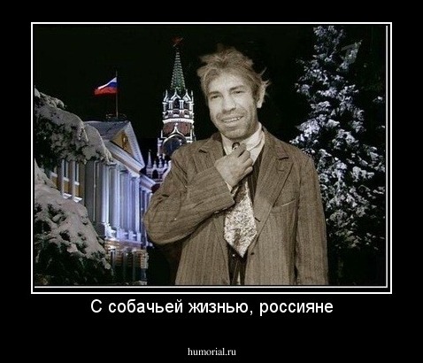 С собачьей жизнью, россияне