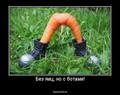 Без яиц, но с ботами!