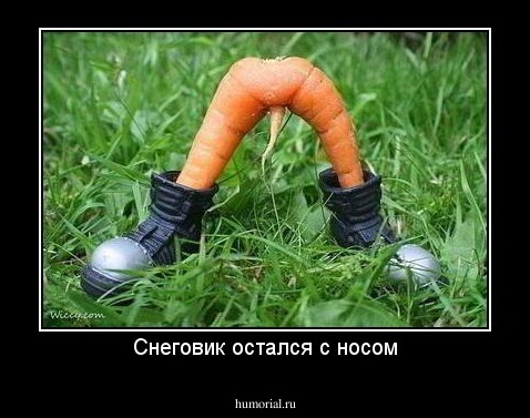Снеговик остался с носом