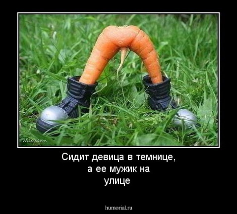 Сидит девица в темнице, а ее мужик на улице