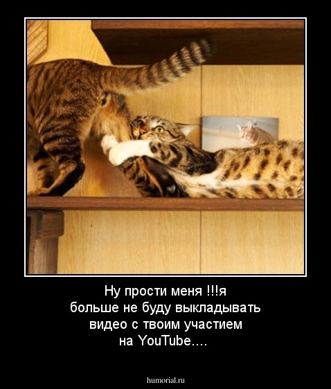 Ну прости меня !!!я больше не буду выкладывать видео с твоим участием  на YouTube....