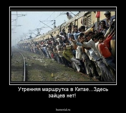 Утренняя маршрутка в Китае...Здесь зайцев нет!