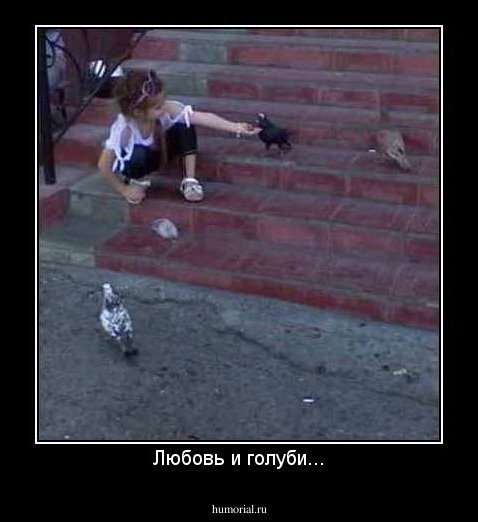 Любовь и голуби...