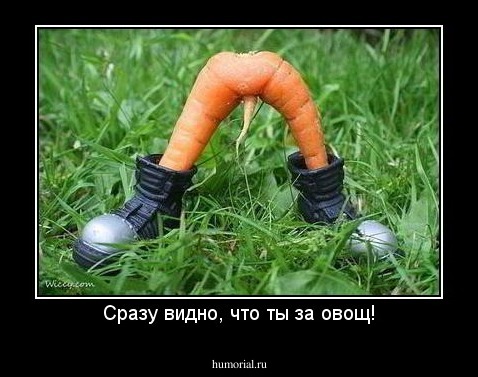 Сразу видно, что ты за овощ!