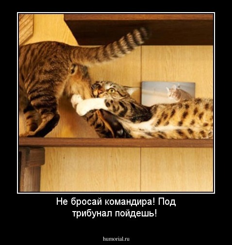 Не бросай командира! Под трибунал пойдешь!