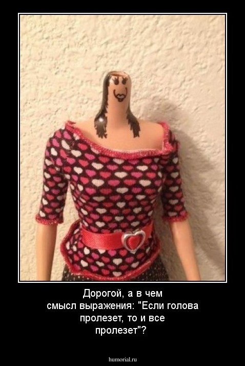 Дорогой, а в чем смысл выражения: "Если голова пролезет, то и все пролезет"?