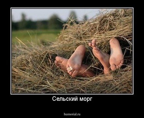 Сельский морг