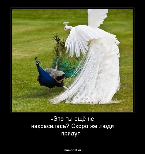 -Это ты ещё не накрасилась? Скоро же люди придут!