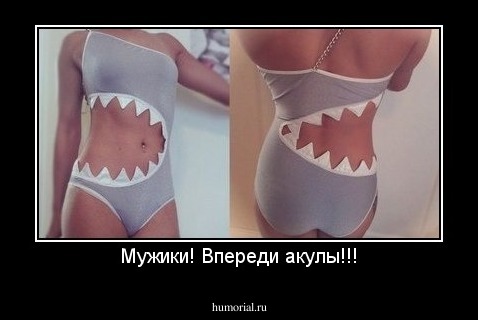 Мужики! Впереди акулы!!!
