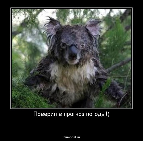 Поверил в прогноз погоды!)
