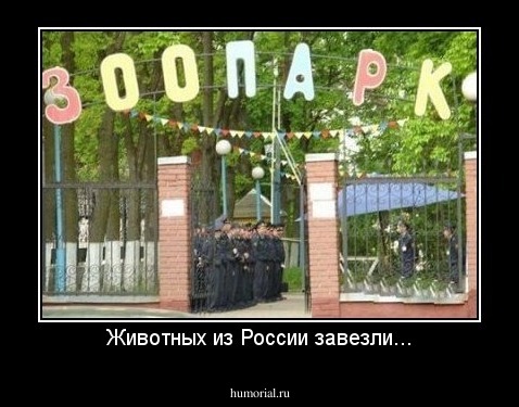 Животных из России завезли...