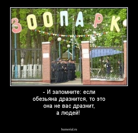 - И запомните: если обезьяна дразнится, то это она не вас  дразнит, а людей!