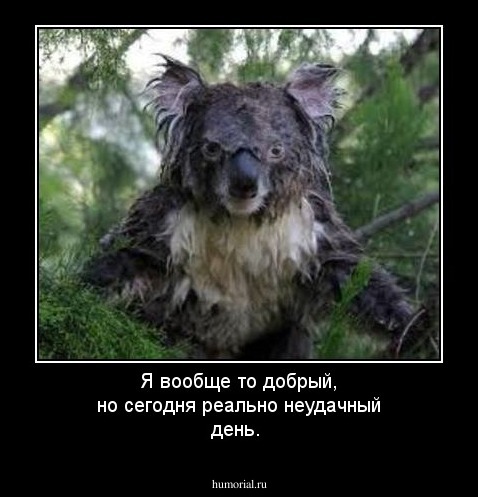 Я вообще то добрый, но сегодня реально неудачный день.