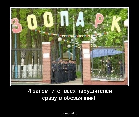 И запомните, всех нарушителей сразу в обезьянник!