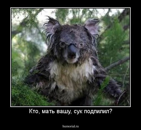 Кто, мать вашу, сук подпилил?